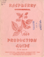 Raspberry production guide