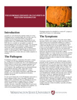 Pseudomonas diseases on cucurbits in Western Washington