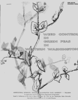 Weed control in green peas in western Washington