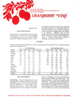 Cranberry Vine, September 1995