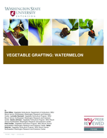 Vegetable grafting: Watermelon