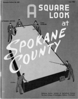 A square look at Spokane County