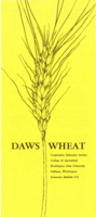 Daws wheat