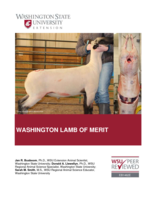Washington lamb of merit