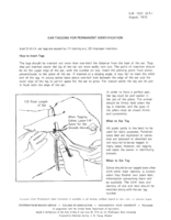 Ear tagging for permanent identification