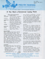 Poultry pointers: If you want a commercial laying flock