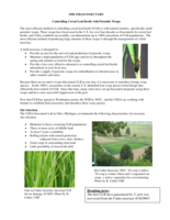 The field insectary: Controlling cereal leaf beetle with parasitic wasps