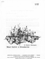 Weed control in strawberries for western Washington