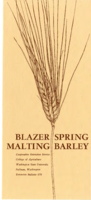 Blazer spring malting barley