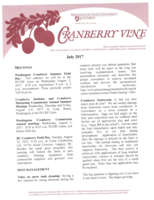 Cranberry Vine, July 2017