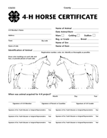 4-H Horse Certificate
