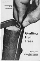 Grafting fruit trees