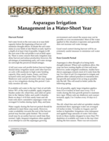 WSU Drought Advisory: Asparagus Irrigation in a Water-Short Year