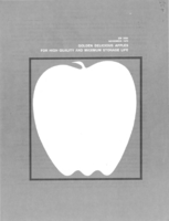 Golden delicious apples for high quality and maximum storage life