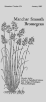 Manchar smooth bromegrass