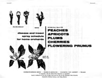 Disease and insect spray program for home gardens: Peaches, apricots, plums, cherries, flowering prunus