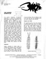 Insect answers: The garden symphylan