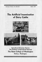 The artificial insemination of dairy cattle