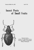 Insect pests of small fruit