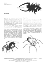 Insect answers: Spiders