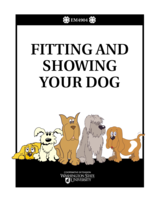 Fitting and Showing Your Dog