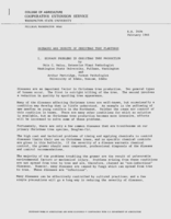 Diseases and insects of Christmas tree plantings