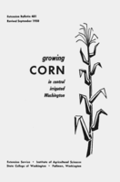 Growing corn in central irrigated Washington