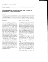 Spruce Beetle Attacks and Surviving Beetle Brood in Limbed and Bucked Spruce in South-Central Alaska