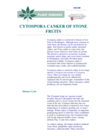 Cytospora Canker of Stone Fruits