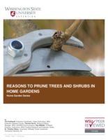 Reasons to prune trees and shrubs in home gardens