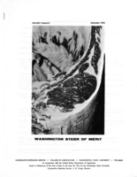 Washington steer of merit