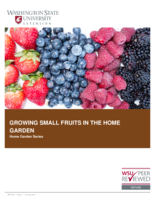 Growing Small Fruits in the Home Garden