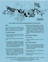 Unit 7. When to pick your vegetables and what to do with them