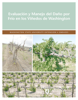 Evaluación y manejo del daño por frío en los viñedos de Washington