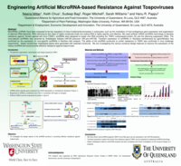 Engineering artificial microRNA-based resistance against tospoviruses