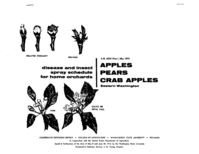 Disease and insect spray program for home gardens: Apples, pears, crab apples: eastern Washington