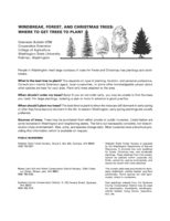 Windbreak, forest, and Christmas trees : where to get trees to plant