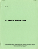 Alfalfa irrigation