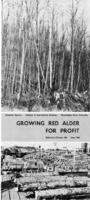 Growing red alder for profit