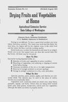 Drying fruits and vegetables at home