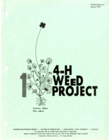 4-H weed project 1