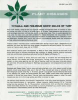 Typhula and fusarium snow molds of turf