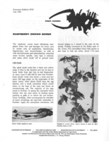 Raspberry crown borer: Raspberry crown borer