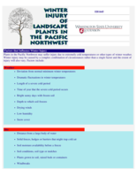 Winter Injury of Landscape Plants in the Pacific Northwest