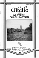 Alfalfa in western Washington