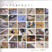 LandEscapes, 2008