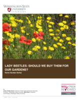 Lady beetles: Should we buy them for our gardens?