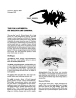 The pea leaf weevil: its biology and control