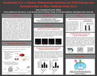 Neurogenin 3 is a critical downstream effector for STAT3-regulated differentiation of male germline stem cells