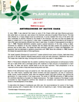 Plant diseases: Anthracnose of native oaks